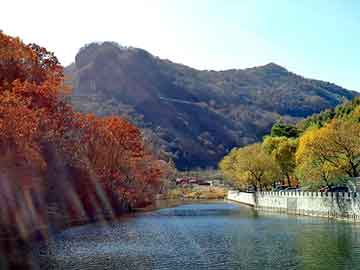 管家婆黑白马报图库，浚seo论坛